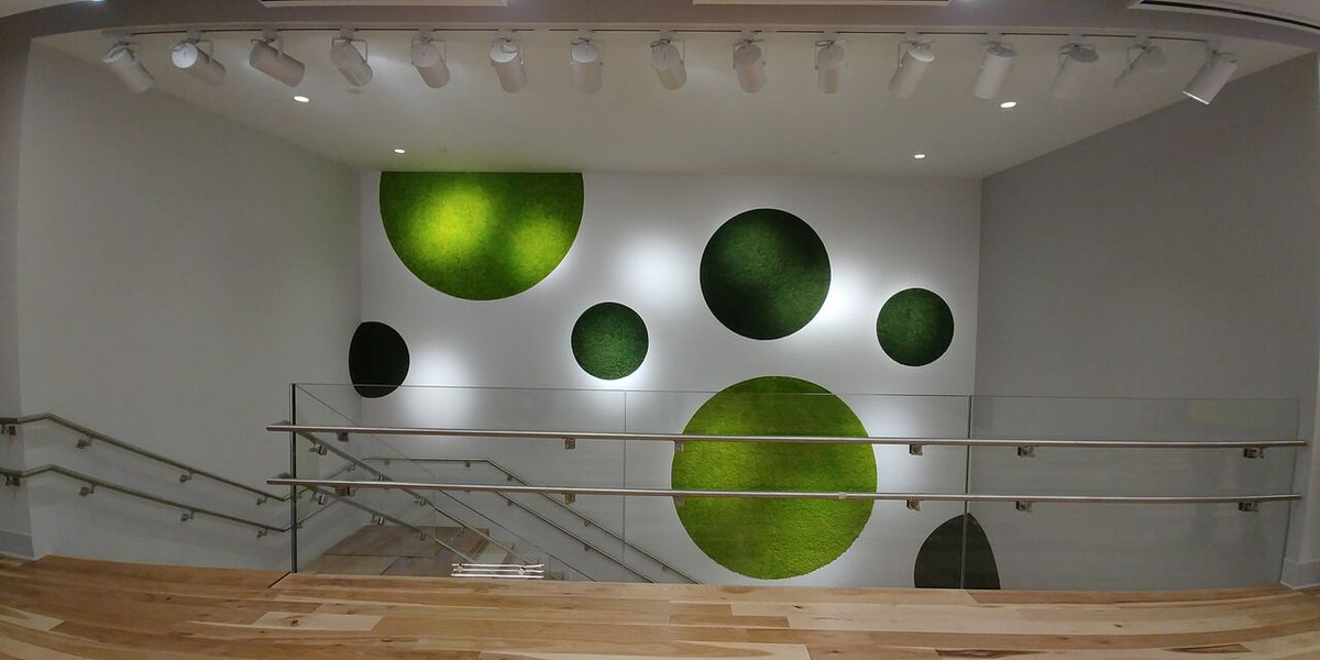 The Ultimate New York Apartment | Installing A Living Wall With Plantwalldesign